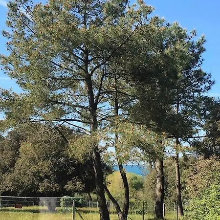 3 Etoiles Des Ecuries De L'abbaye Saint-Jean-dʼOrbetiers