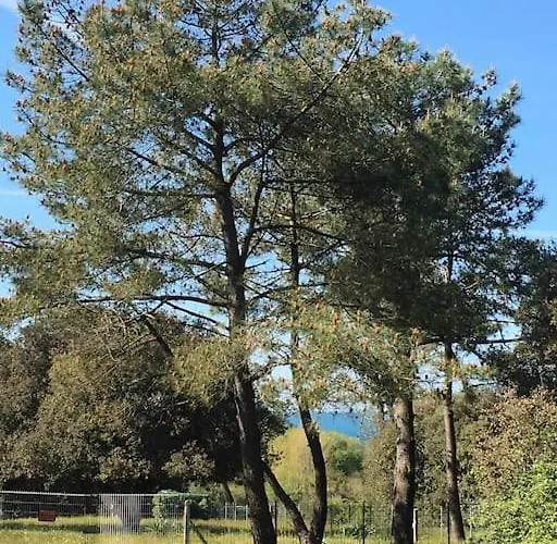 3 Etoiles Des Ecuries De L'abbaye Saint-Jean-dʼOrbetiers