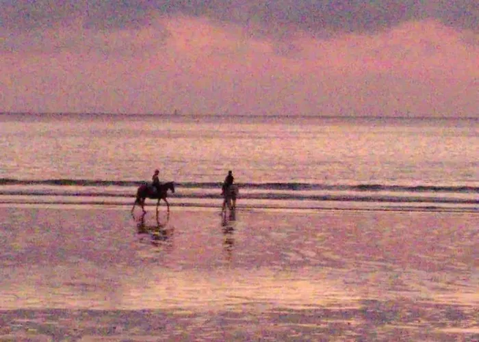 בית נופש 3 Etoiles Des Ecuries De L'abbaye *